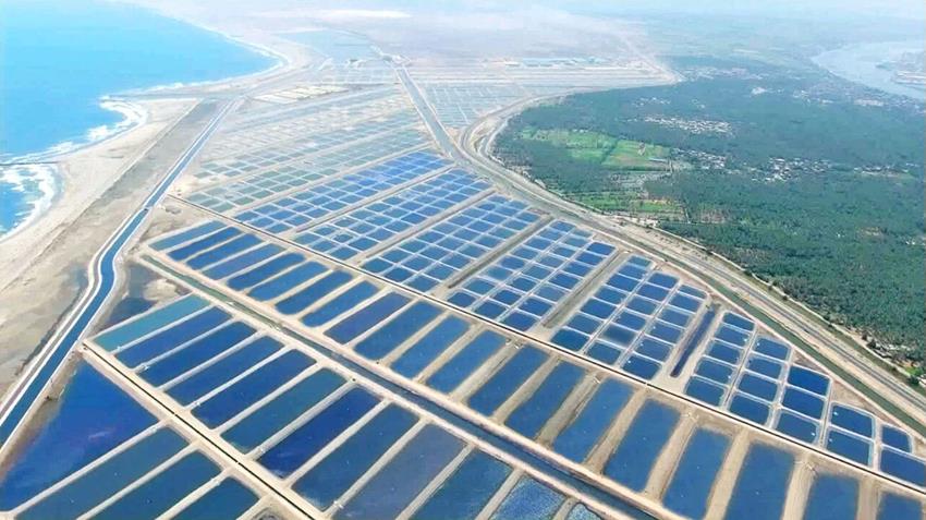 سيراليون تتطلع للتعاون مع الجيش المصري لإنشاء مدينة متكاملة للأسماك في البلاد