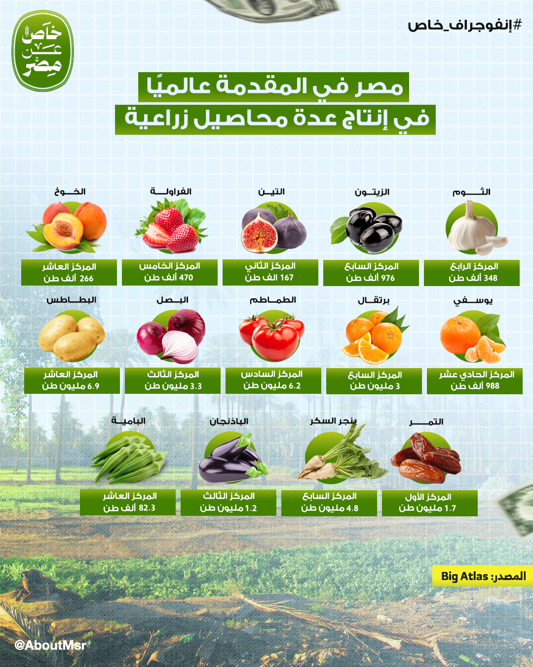 مصر في المقدمة عالميا في إنتاج عدة محاصيل زراعية