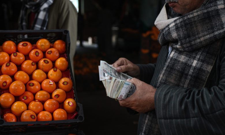 زيادة الطلب على البرتقال المصري في أوروبا تؤجل نهاية موسم حصاده