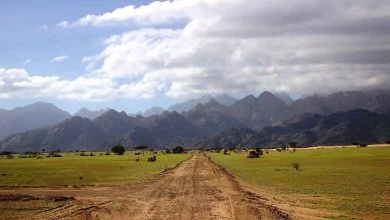 أسرة سودانية بمصر تواجه الترحيل والسبب "حلايب وشلاتين"