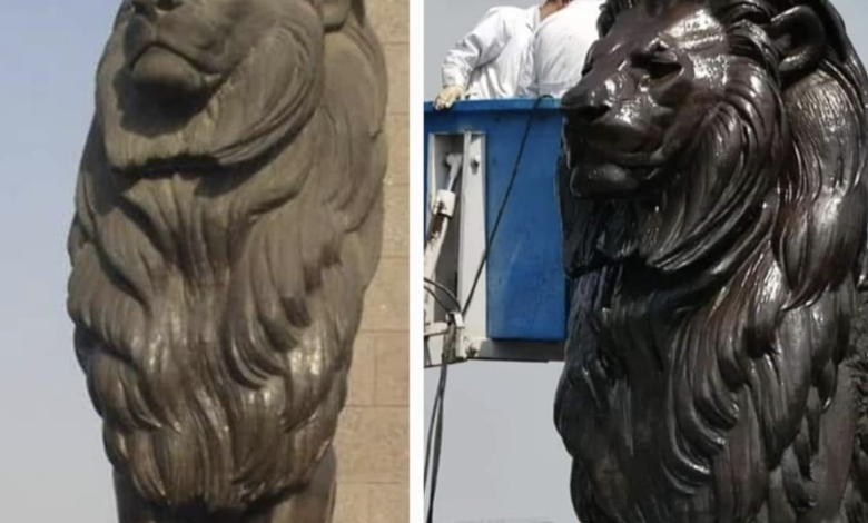 أسود قصر النيل