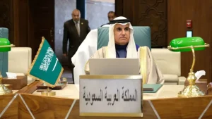زيارة ولي العهد للقاهرة جاءت في الوقت المناسب