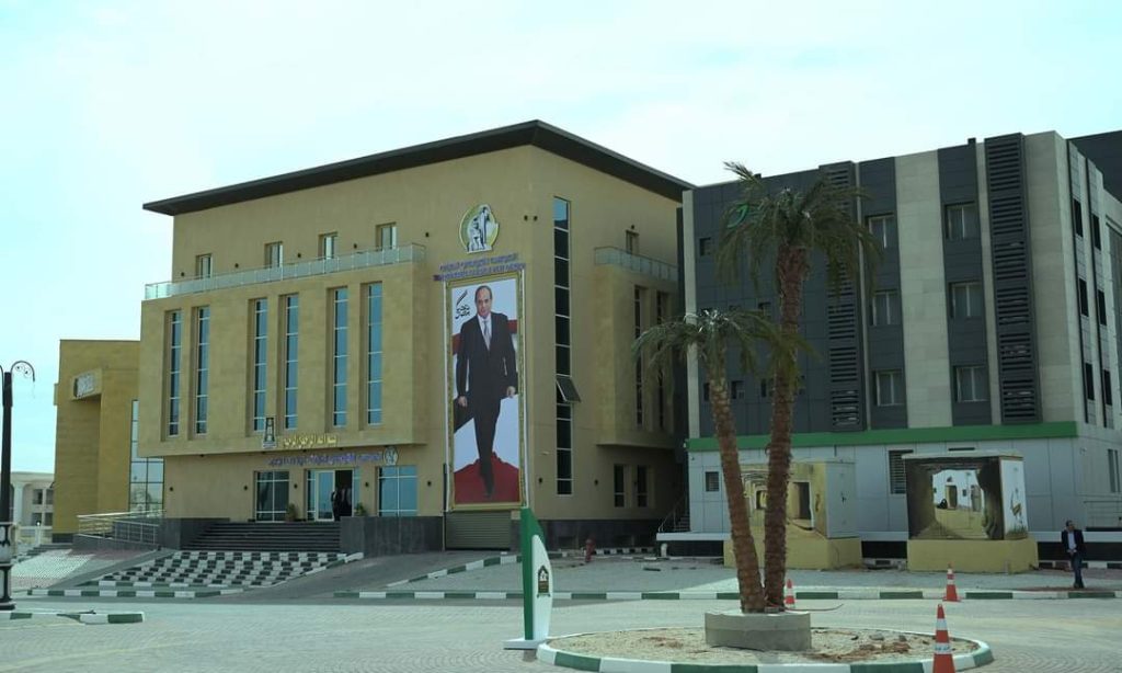 الوادي الجديد 
