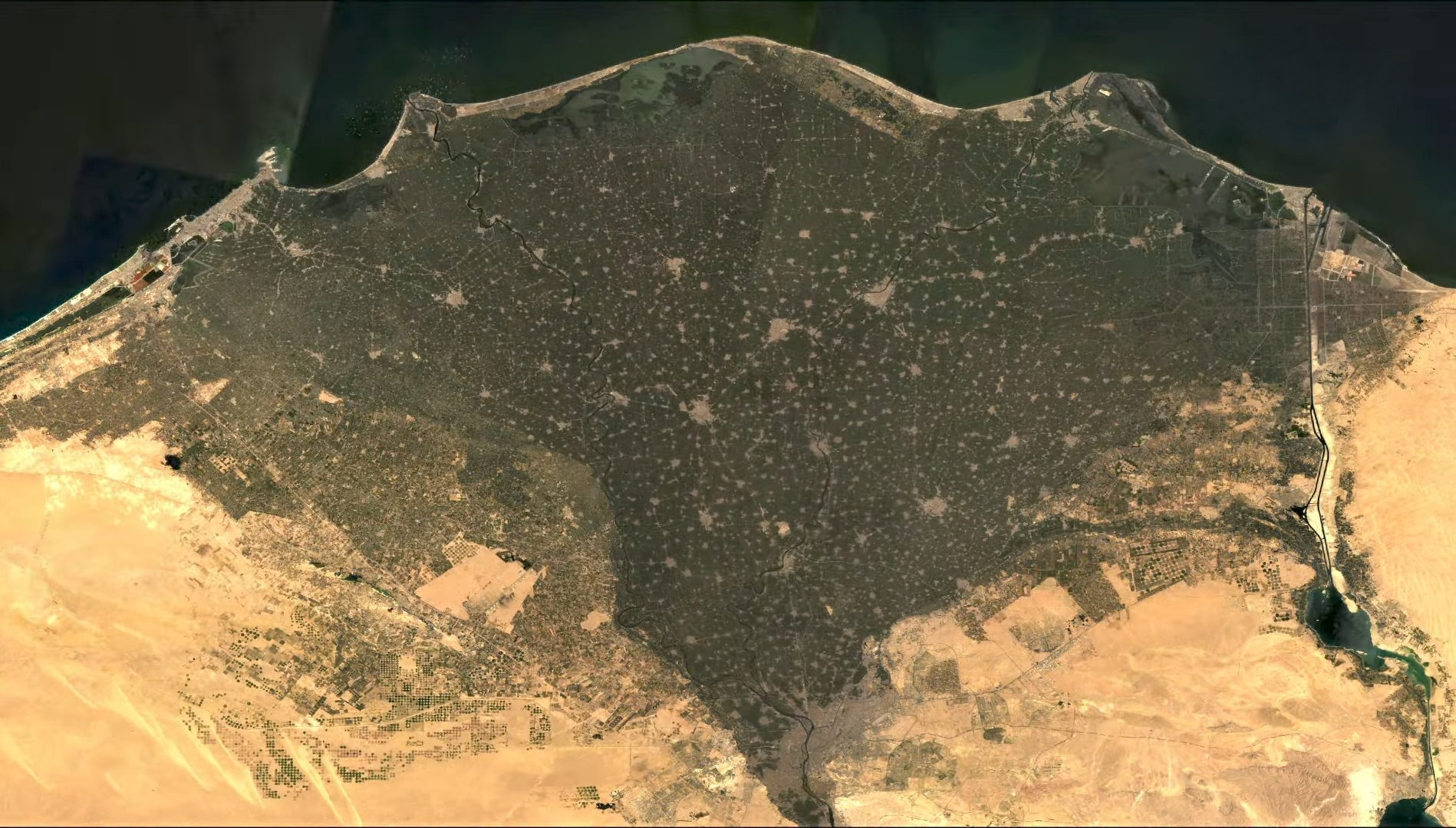 لصالح جهاز مستقبل مصر.. الحكومة توافق على تخصيص 5 قطع أراضي جديدة بالدلتا