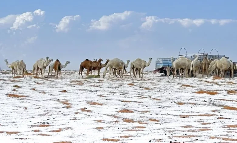 حالة الطقس اليوم الثلاثاء في السعودية.. تساقط ثلوج نادر تغير مشهد الصحراء