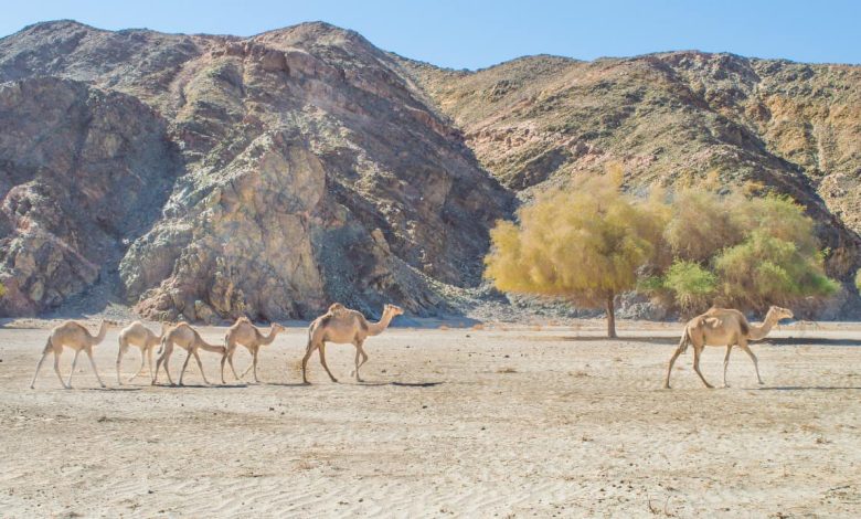 قريتي غرب سهيل وأبو غصون