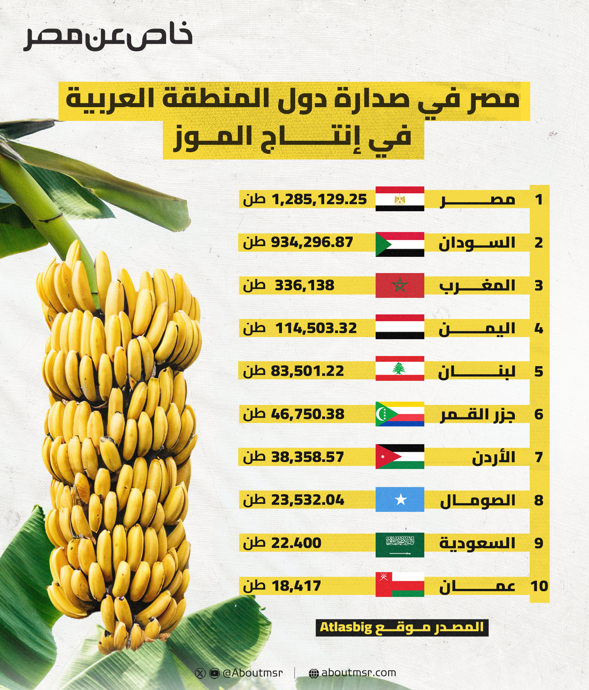 مصر تتصدر الدول العربية في إنتاج الموز