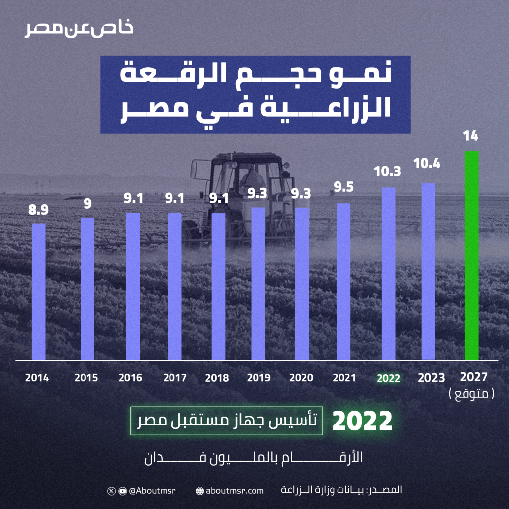 إنفوجراف خاص