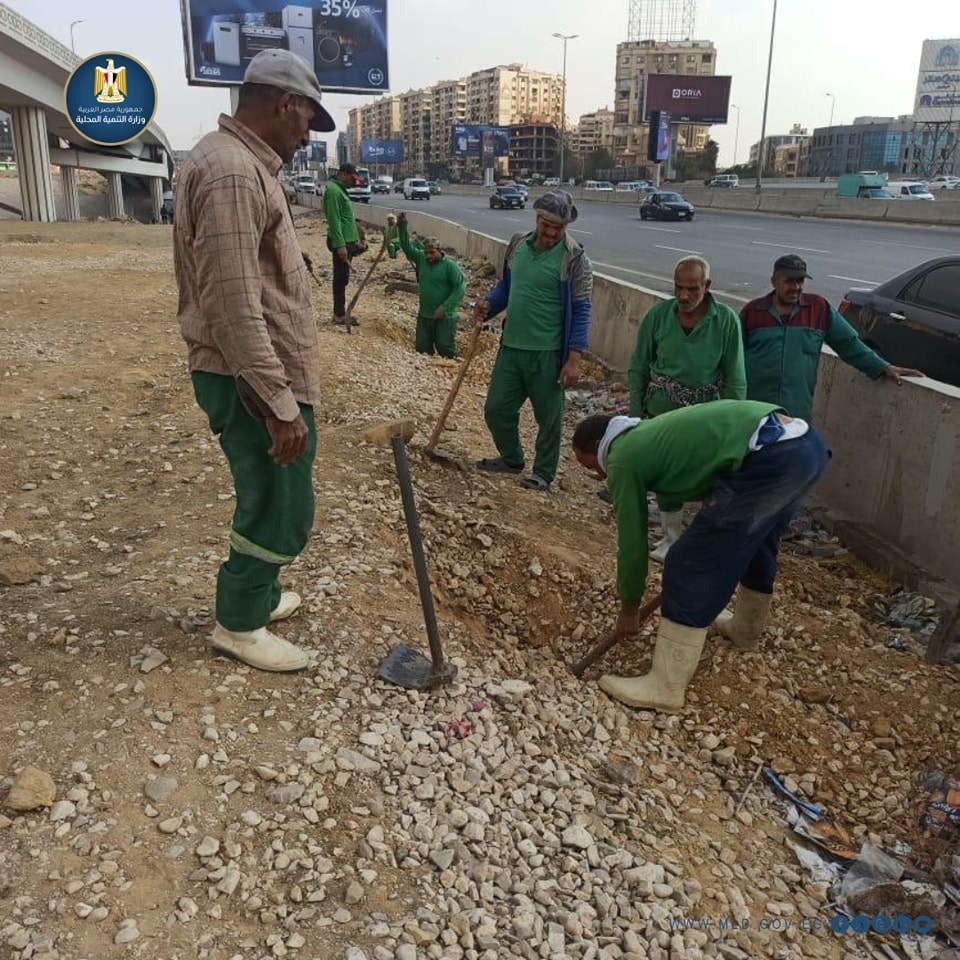 تشجير الطريق الدائري 