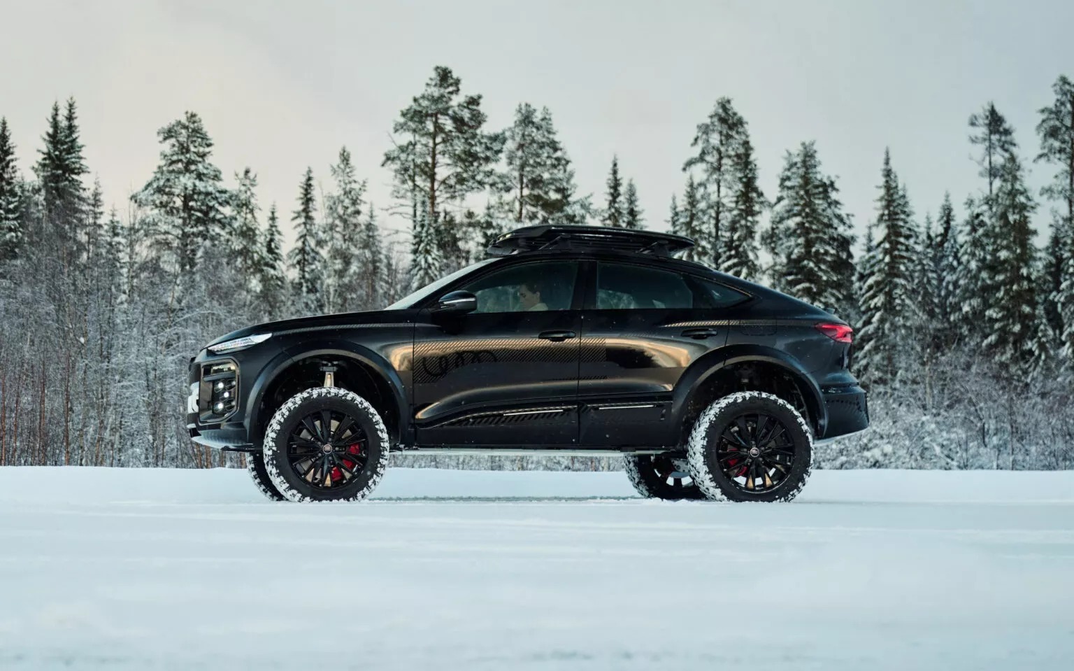 Q6 e-tron Offroad