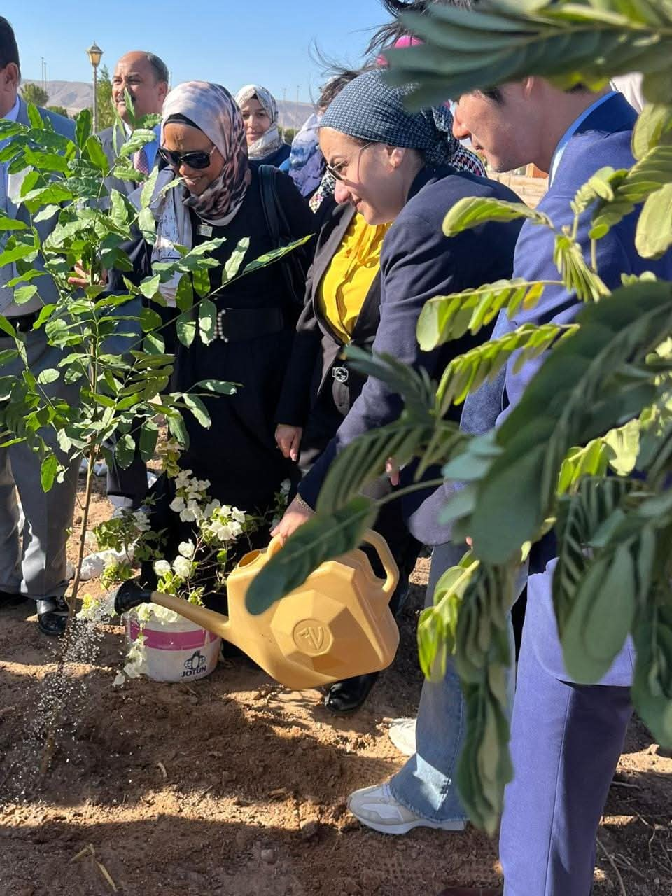 وزيرة البيئة تشارك في زراعة الشجر بالغردقة