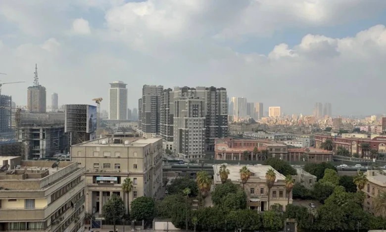 مصر تطلق مبادرة الاقتصاد الرعائي باستثمارات ضخمة في قطاع يساهم بـ11 تريليون دولار سنويًا - صورة أرشيفية