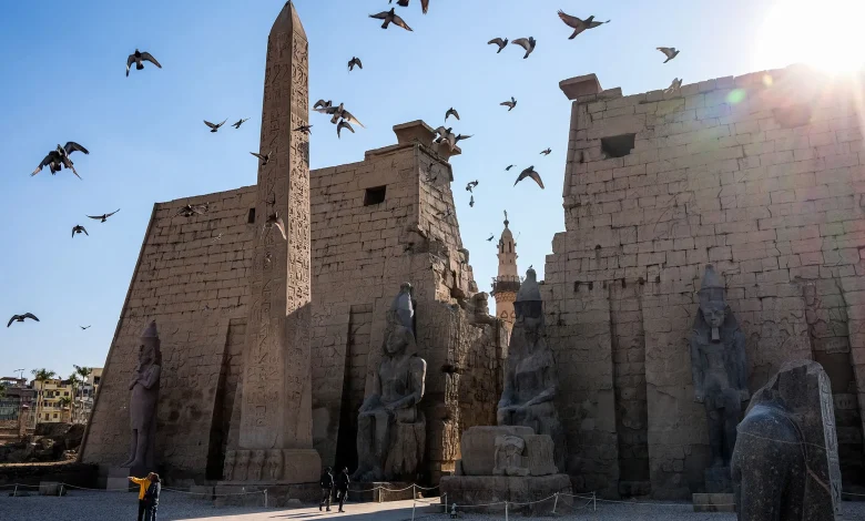 سمير فرج