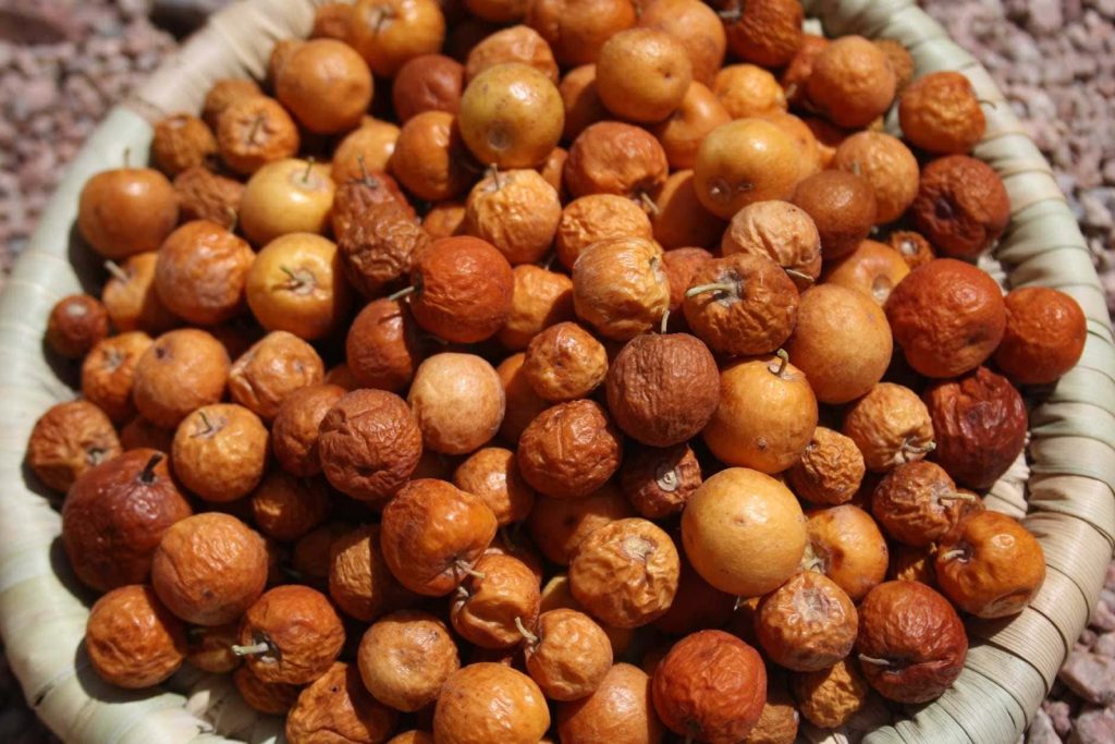 النبق