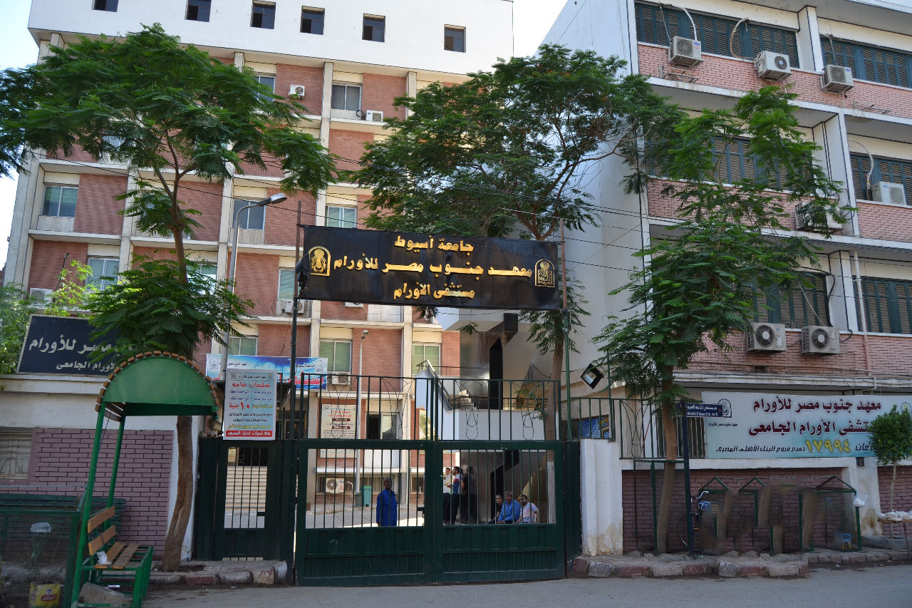 Establishing the University Oncology Hospital in Assiut with a budget of 2 billion pounds