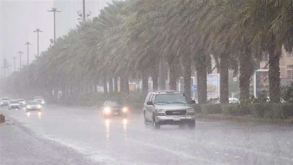 أمطار رعدية تضرب المملكة.. حالة الطقس اليوم الأربعاء 12-2-2025 في السعودية