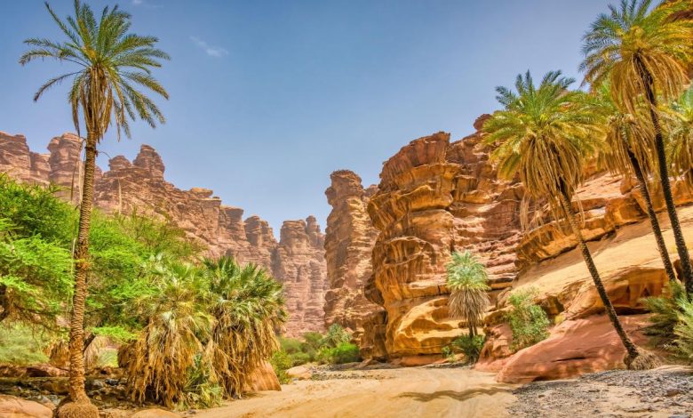 عبور السعودية سيرا