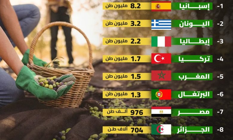 إنفوجراف خاص