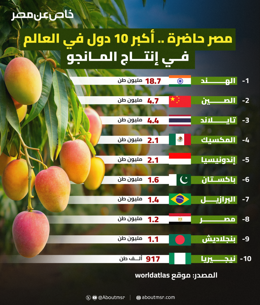 إنفوجراف خاص