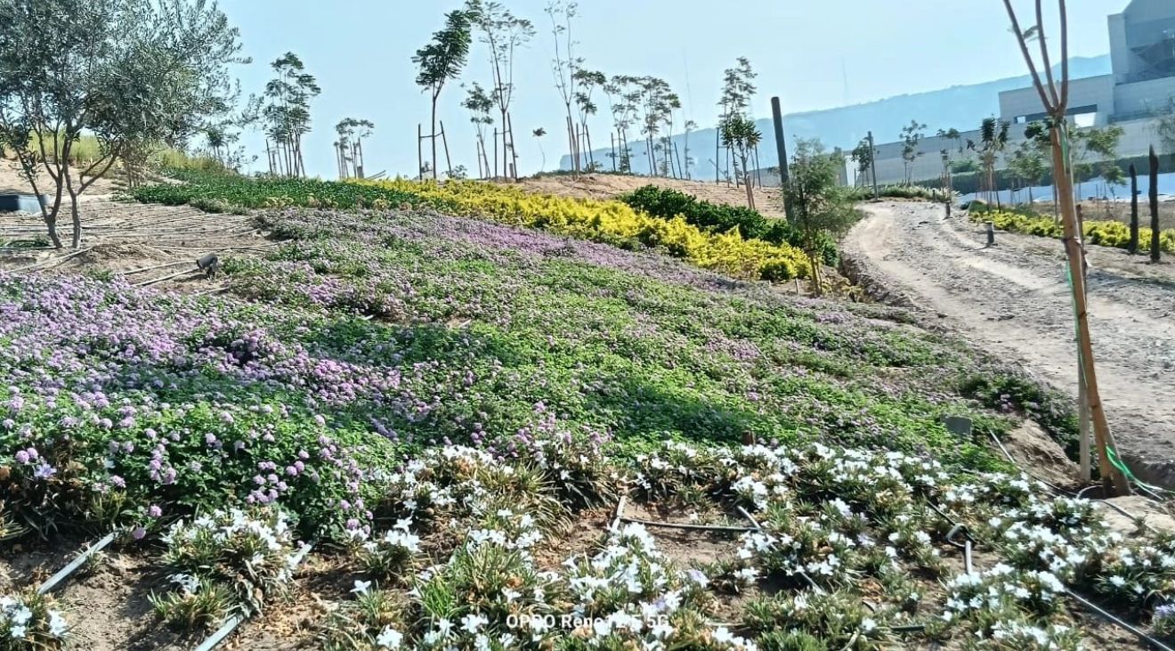حدائق الفسطاط