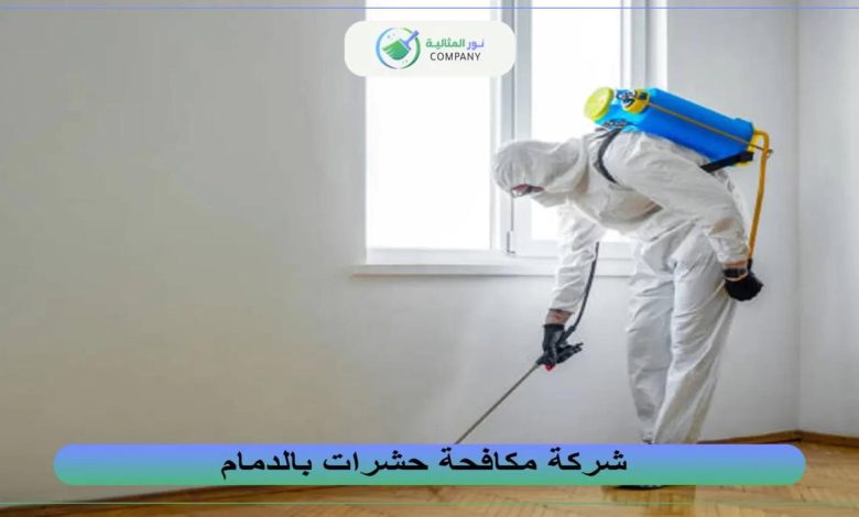 أفضل شركة مكافحة حشرات بالدمام والجبيل 2025