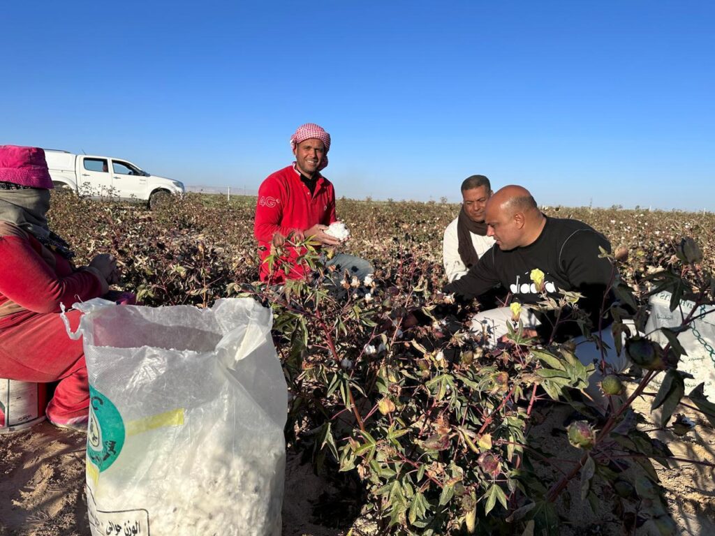 سيناء والتنمية الزراعية