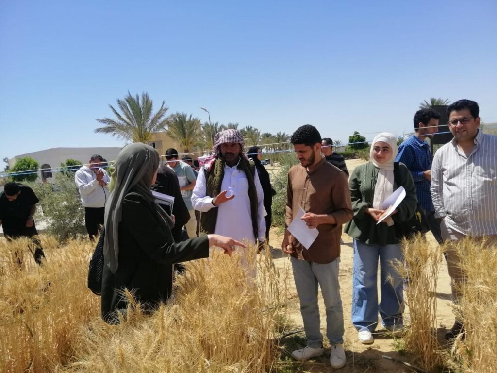 سيناء والتنمية الزراعية