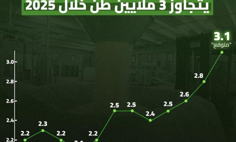مصر تكتفي ذاتيًا من السكر