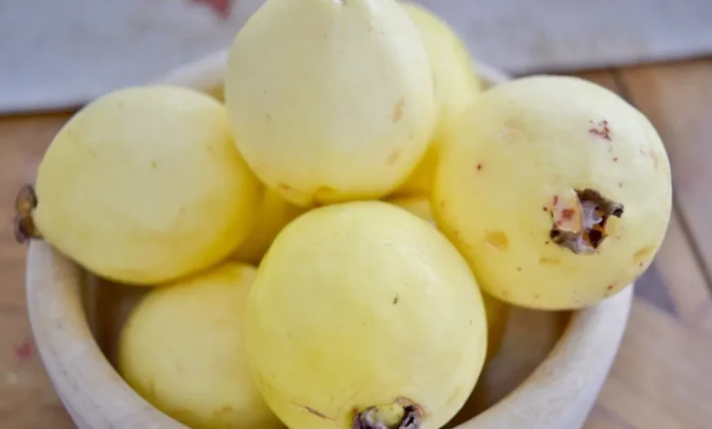 الجوافة