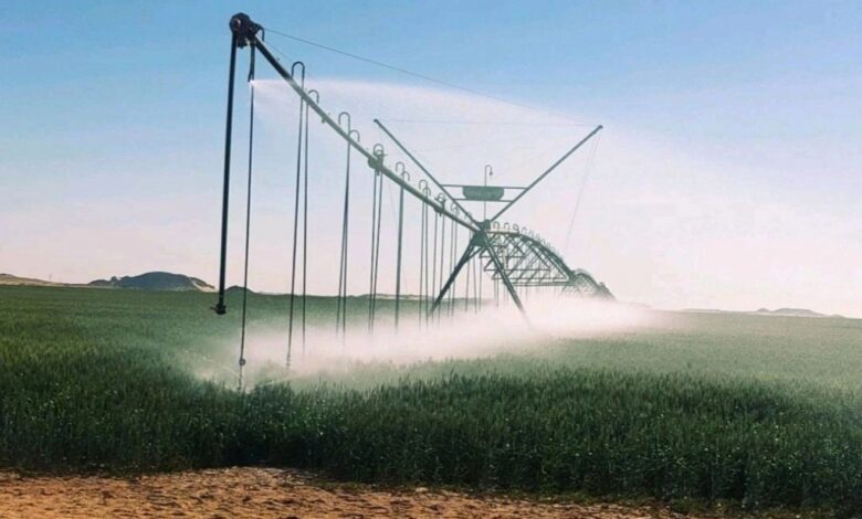توشكى الخير