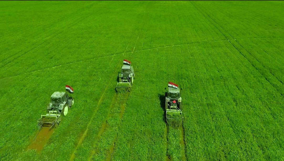 جهاز مستقبل مصر