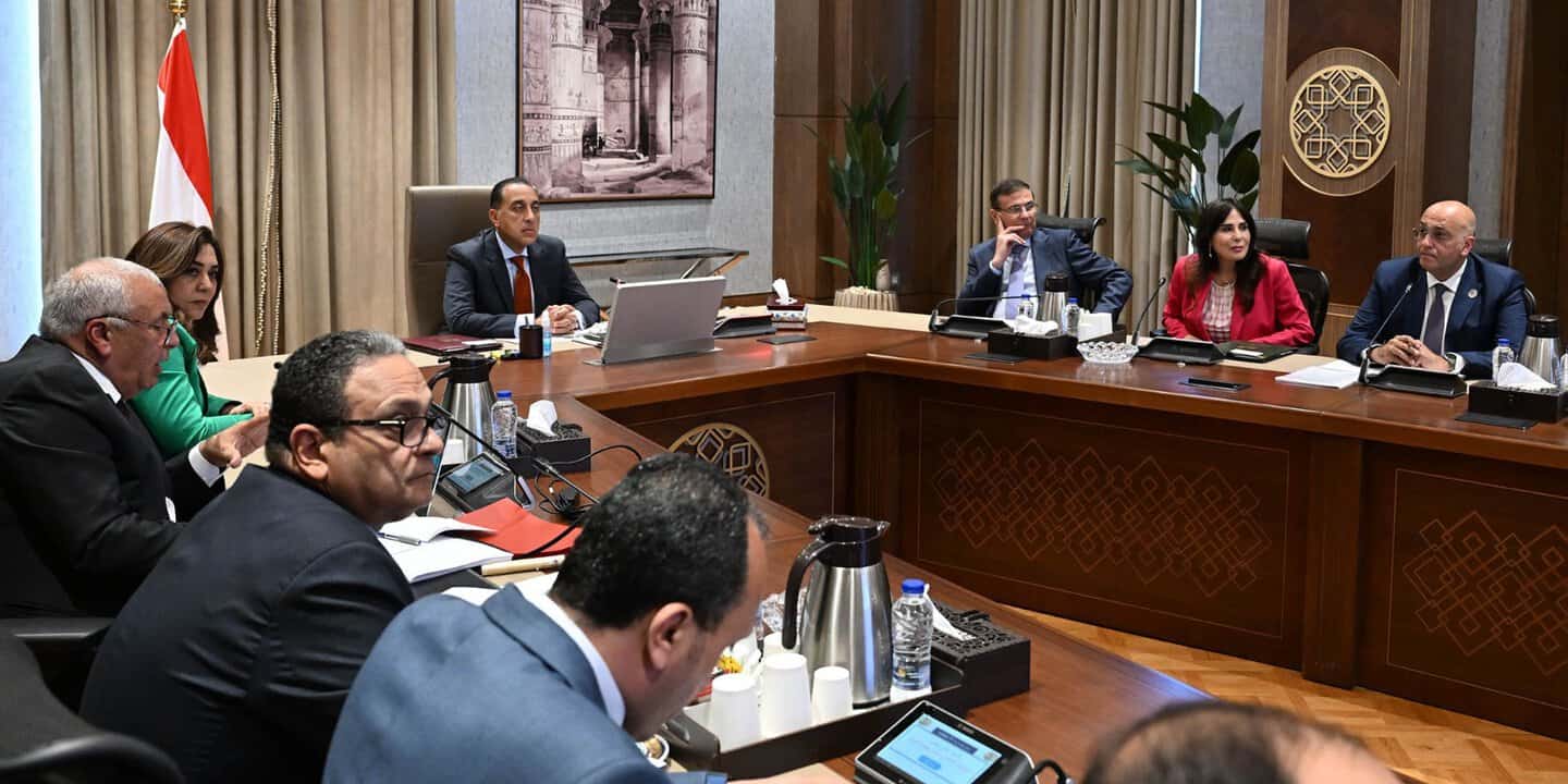 رئيس الوزراء يتابع خطة توطين صناعة الحرير