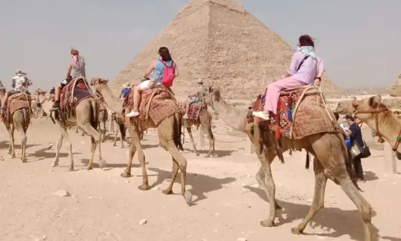 إحياء الأهرامات