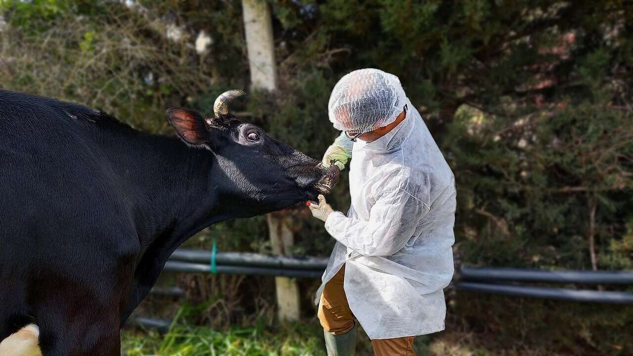 الأمراض الوبائية