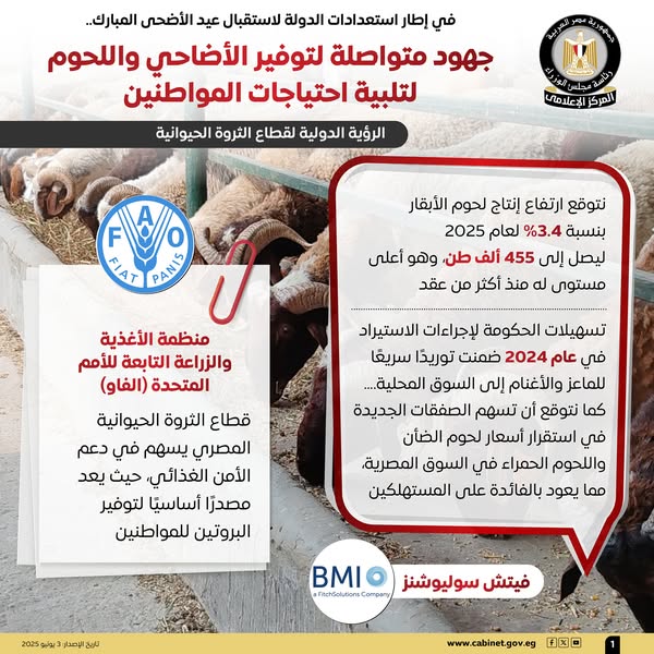 جهود الدولة لتوفير الأضاحي واللحوم