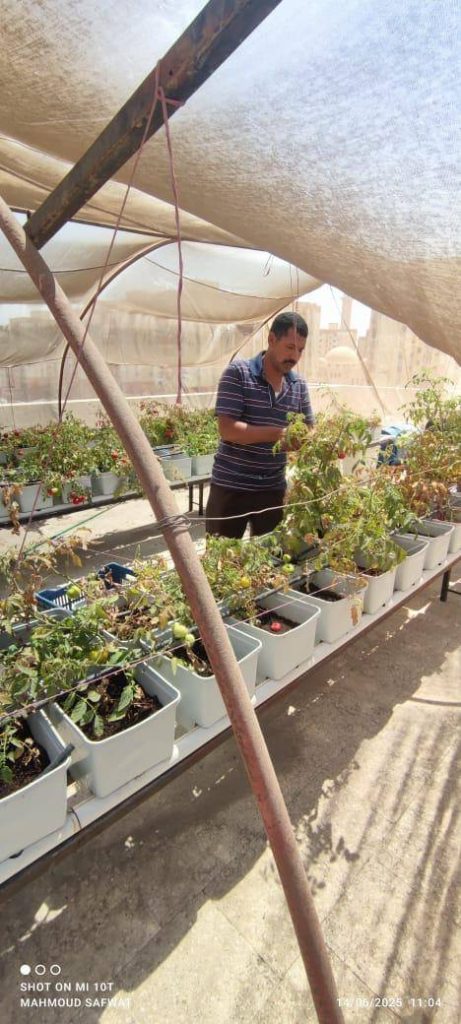 الأسمرات