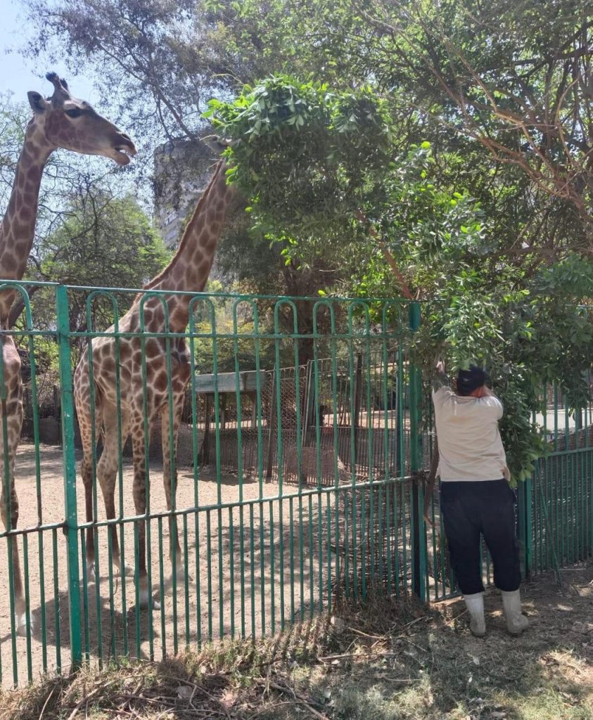 حديقة الحيوان