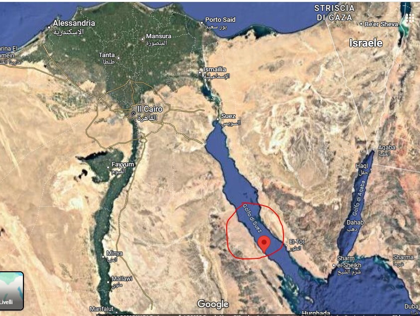 تخصيص قطعة أرض لوزارة المالية على البحر الأحمر
