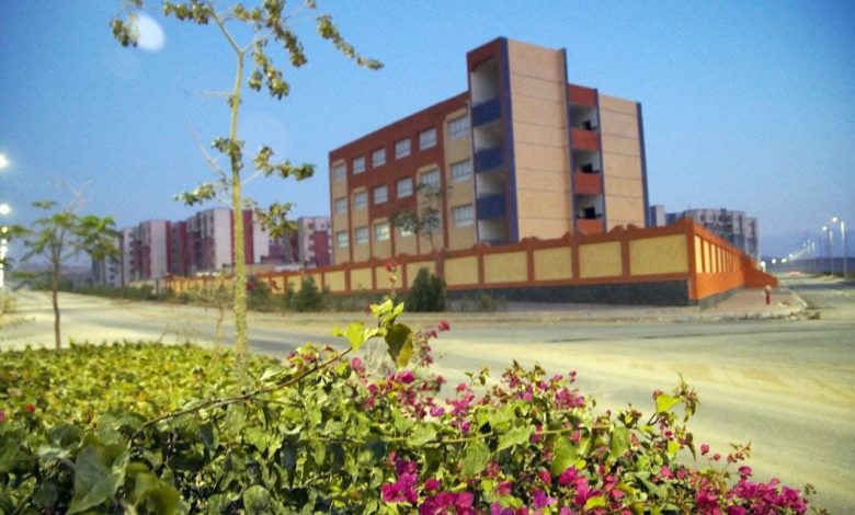 زهور مايو