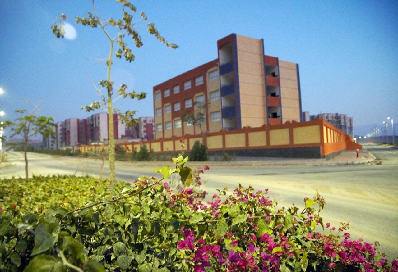 زهور مايو