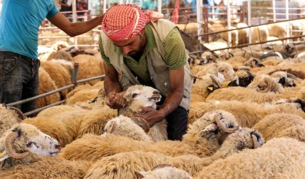 منظومة ذكية للهدي