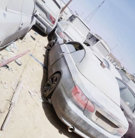 جانب من السيارات المشاركة بالمزاد