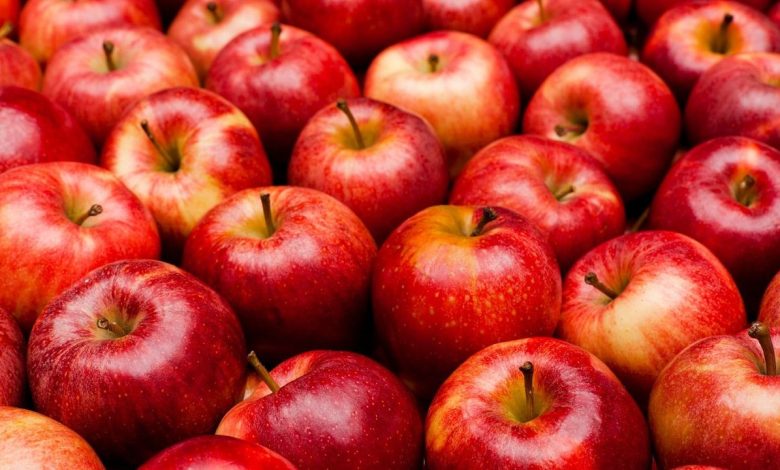 أكبر 10 دول التفاح