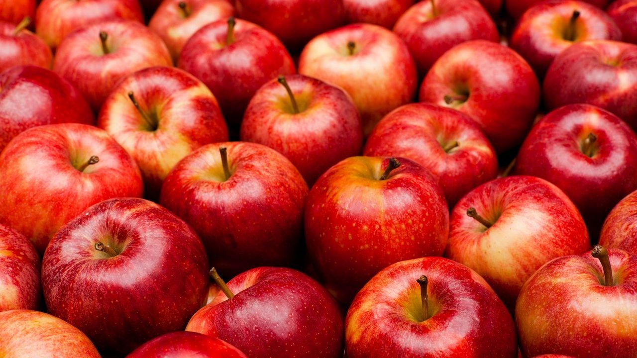 أكبر 10 دول التفاح