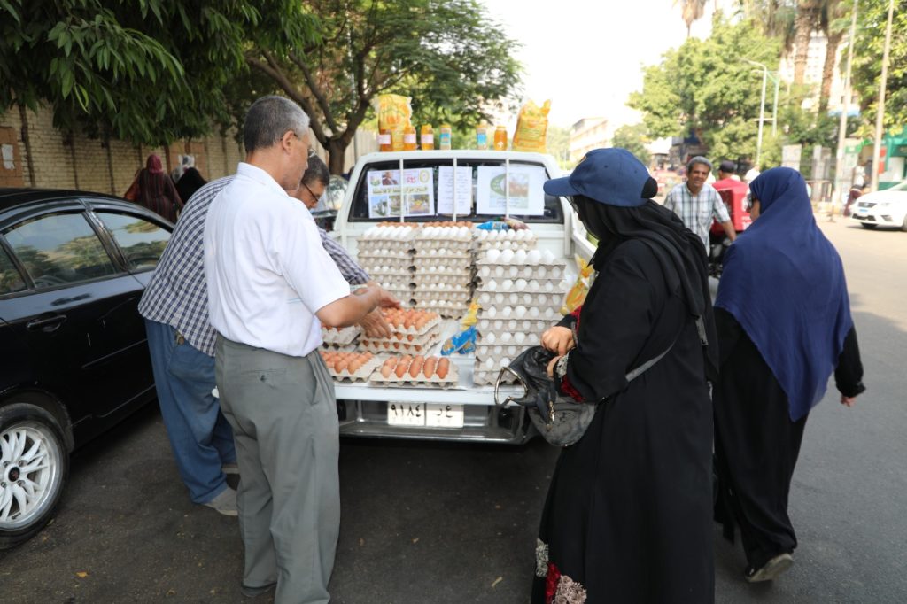 منافذ الزراعة