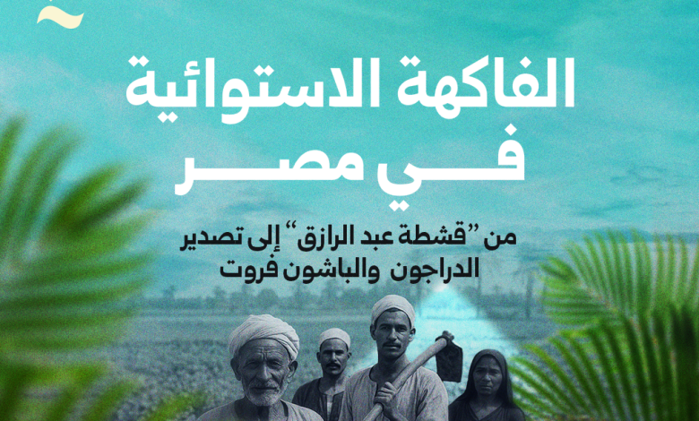 الفاكهة الاستوائية في مصر